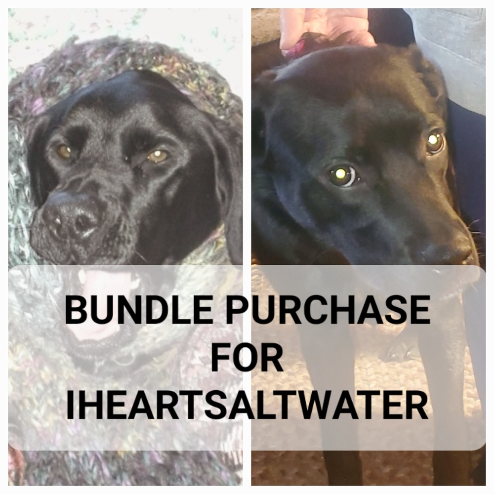 Private Bundle Purchase Box #4 For Iheartsaltwater - image 1